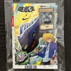 Item thumbnail for item c01d4c92-276e-4d48-85a7-39f8df26fd8d