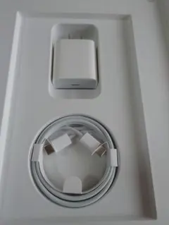 Apple純正　USB-C充電ケーブルと20W充電器セット