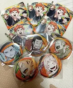 ハイキュー ファンパーク コレクション缶バッジ 烏野高校