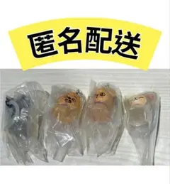 skzoo めじるしアクセサリー　スキズ　ガチャ　4点セット