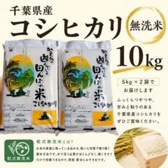 大特価　セール　千葉県産　コシヒカリ　無洗米　10kgのサムネイル