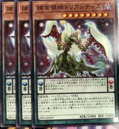 DIFO19N 捕食植物トリアンティス 3枚