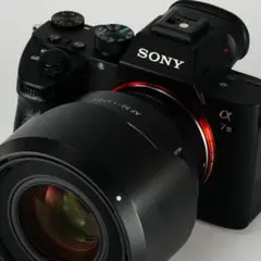 ペンギン様専用 SONY α7III+サムヤン AF 50mm F1.4 Ⅱ - メルカリ