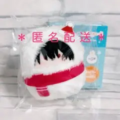 家庭教師ヒットマンREBORN！ リボーン XANXUS たぴぬい 雪だるま