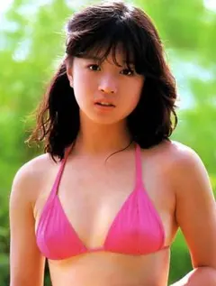 中森明菜 ★昭和アイドル 歌姫★ ツッパリ少女★5/17までの値下げのサムネイル