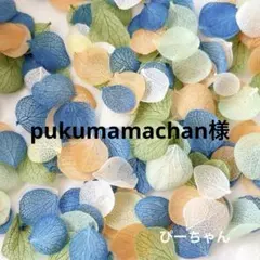 pukumamachan様 リクエスト 2点 まとめ商品