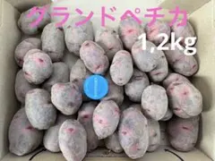 2026年最新】じゃがいも デストロイヤーの人気アイテム - メルカリ