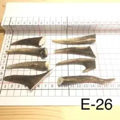 2026年最新】鹿角の人気アイテム - メルカリ