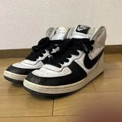 NIKE Terminator High 