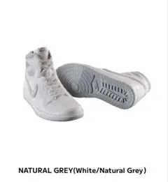 NIKE Air Jordan 1 High 85 ミニチュア ナチュラルグレー