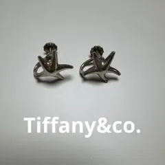 ティファニー　イヤリングのサムネイル
