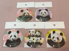 アドベンチャーワールド 非売品 ステッカー パンダ ペンギン レッサーパンダ アドベンチャーワールド 非売品 ステッカー パンダ ペンギン