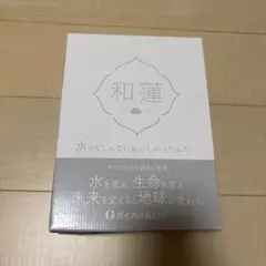 イクイノックス2023ドバイシーマクラシック優勝記念品 - メルカリ
