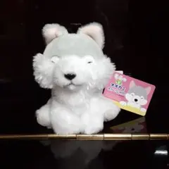 もふっとオオカミ ミステリアス　VMCコンプリート ≪9月の新商品≫もふっとオオカミミステリアス-NEW ITEM