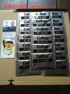 Calbeeプロ野球カード2026未開封のサムネイル