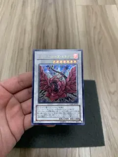 ブラックローズドラゴン　レリーフ　CSOc-JP039