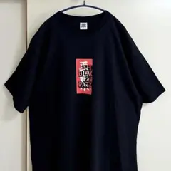 希少 00's SEBADOH セバドー バンド プリントTシャツ カナダ製 - メルカリ