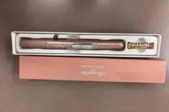 브랜파인 더블 부스터 플러스 EMS 페이셜 장비