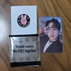 Stray Kids Changbin ランダムピンバッチ トレカ