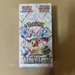 T*n様 ポケモンカード　テラスタルフェスex