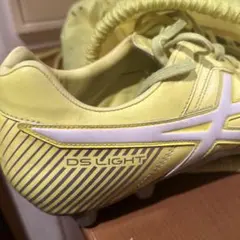 ASICS DS LIGHT 28.5 収納バッグ付き