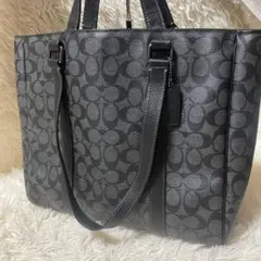 【美品】COACH コーチ ハドソン ダブルハンドル トートバッグ シグネチャーのサムネイル