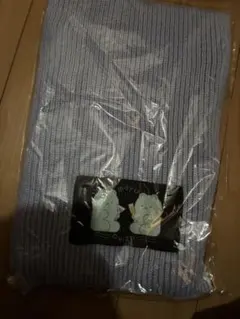 Item thumbnail for item c5ea9374-4c6a-493b-bd91-8afd820f6a55