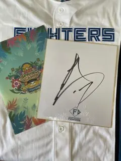 2026年最新】伊藤大海 サイン ユニフォームの人気アイテム - メルカリ