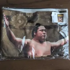 Item thumbnail for item 125fb6ed-be78-4101-9f1e-2fbbe803772a