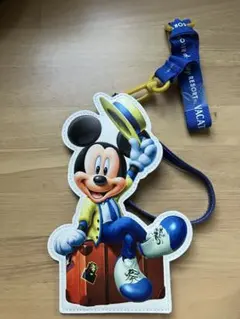 【新品・未使用】東京ディズニーリゾート バケーションパッケージ パスケース