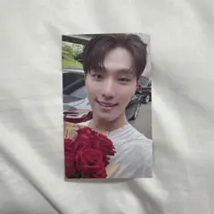 ディノ 大阪 来場者限定 トレカ Spill The Feels セブチ