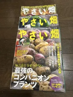 やさい畑 2023年10月号 2023年12月号 2024年2月号