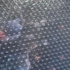 Switch2 零 ～紅い蝶～ REMAKE プレミアムボックス　新星堂　特典