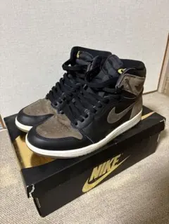 Nike Air Jordan 1 Retro High OG パロミノ