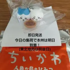 ちいかわ 映画 人魚の島のひみつ マスコット キーホルダー