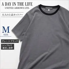 A DAY IN THE LIFE ユナイテッドアローズ 半袖Tシャツ グレ M