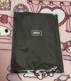 BMSG FES’25 レジャーシート