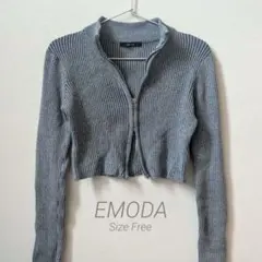 EMODA ハーフジップ リブニット クロップド丈 グレーのサムネイル