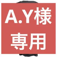 A.Y様専用 W テルス42 ブラック 登山用リュック ザック 497
