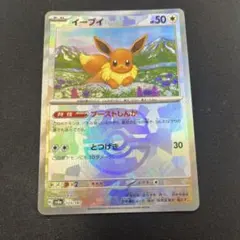 イーブイプロモ英語版　テラスタルフェス テラスタルフェスex】イーブイ 125/187 - マナソース