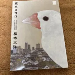 東京ヒゴロ 1巻 松本大洋