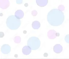 えびマヨ様 リクエスト 2点 まとめ商品