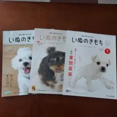 2025年最新】いぬのきもち12冊の人気アイテム - メルカリ