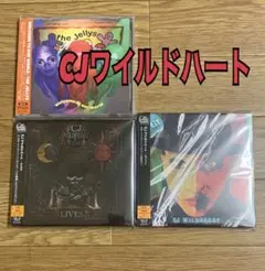 2025年最新】wildheart ワイルドハートの人気アイテム - メルカリ