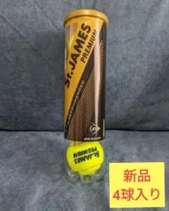 Item thumbnail for item 836dd6bd-9a05-4b1a-b755-48b6b692e2d6