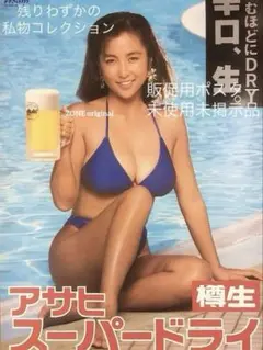 a*2様 かとうれいこ（星野麗子）　ポスター・ピンナップ＆雑誌表紙・グラビア切り Yahoo!オークション - ^_^かとうれいこ(星野麗子)さん 爆乳美尻