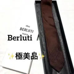2026年最新】Berluti カラー：ブラウン系 メンズ ネクタイの人気