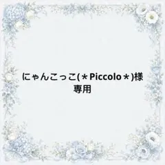にゃんこっこ(＊Piccolo＊)様　専用