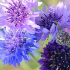 まゆ様 リクエスト 2点 まとめ商品