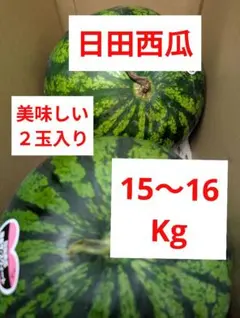 日田西瓜と天球 特大2玉入 甘くて美味しい 18〜19Kg - メルカリ